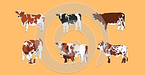 Hand drawn abstract vector clipart illustration collection set with brown adorable cute,stylized cow characters.Trendy