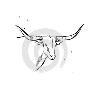 Hand drawn abstract vector graphic clipart illustration boho bull head with horns logo element.Western design concept