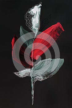 Hand drawn acrylic painting. White flower with red and gray on a black background. Artwork. Abstract art painting. Paint texture