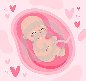 Hand drawn adorable fetus illustration Vector illustration.