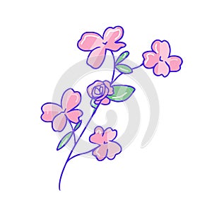 Hand drawn aesthetic cute branch with pink sakura flowers and leaves
