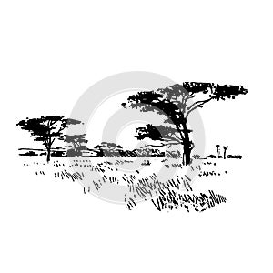 Hand drawn African safari nature landscape black on white background