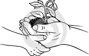 Hand drawn agronomy sketch growth doodle two hands child and adult harvest soil and plant vector illustration black and white icon