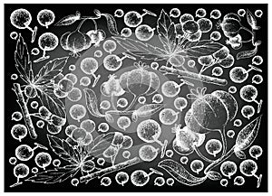 Hand Drawn of Allophylus Edulis and Pitanga Fruits on Chalkboard