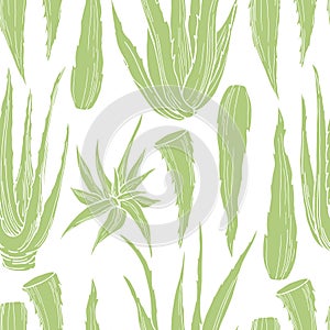 Hand drawn aloe vera plant. Vector seamless pattern