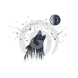 Hand drawn animal and constellation vector illustrations.