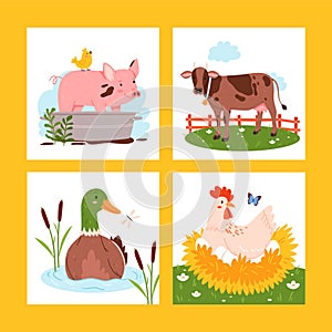 Hand drawn animal illustration set with domestic animals in a farm