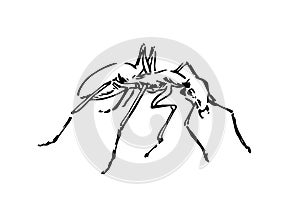 Hand drawn ant insect, doodle pismire painted by ink, emmet sketch vector illustration, black isolated character on white