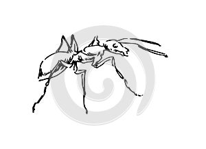 Hand drawn ant insect, outline pismire painted by ink, emmet sketch vector illustration, black isolated character on white photo