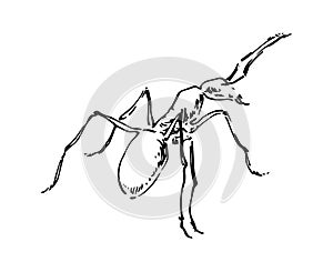 Hand drawn ant insect, small pismire painted by ink, emmet sketch vector illustration, black isolated character on white