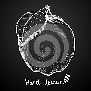Hand drawn apple on black background. Vector illustration.