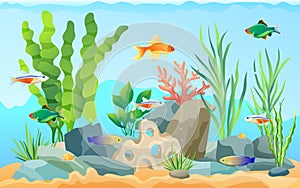 Hand drawn aquarium with fish and seaweed icons