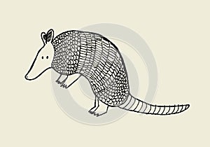 Hand drawn armadillo photo