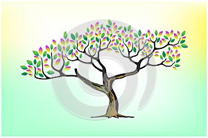 Hand drawn art of acacia tree