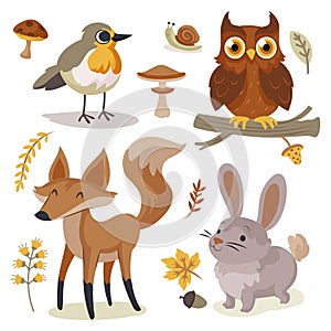 hand drawn autumn forest animals collection vector design