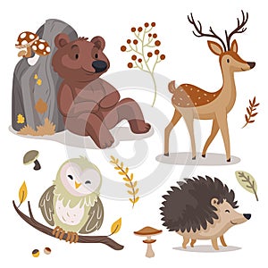 hand drawn autumn forest animals collection vector design