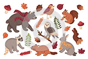 hand drawn autumn forest animals collection vector illustration