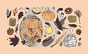 Hand drawn autumn holidays illustration. Creative ink art work. Actual vector drawing. Thanksgiving Day set: food, drinks, things