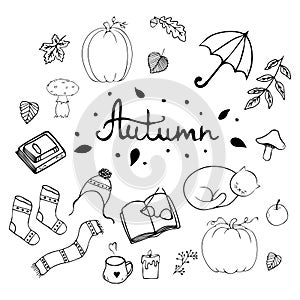 Hand drawn autumn icons set: pumpkin,candle, mug, book, glasses, knitted socks, cute cat and other.