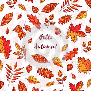 Hand drawn autumn leaves with text Hello autumn. Background with Fall leaves. Forest design elements.