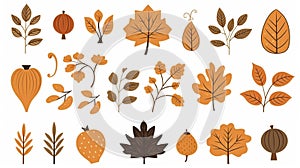 Hand drawn autumn set. Cute cliparts with pumpkin, acorn, oak leaf, maple leaf, rowan. Modern illustrations in flat minimal style