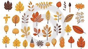 Hand drawn autumn set. Cute cliparts with pumpkin, acorn, oak leaf, maple leaf, rowan. Modern illustrations in flat minimal style