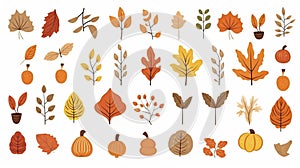 Hand drawn autumn set. Cute cliparts with pumpkin, acorn, oak leaf, maple leaf, rowan. Modern illustrations in flat minimal style