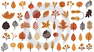 Hand drawn autumn set. Cute cliparts with pumpkin, acorn, oak leaf, maple leaf, rowan. Modern illustrations in flat minimal style