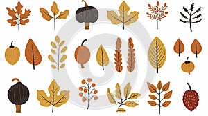 Hand drawn autumn set. Cute cliparts with pumpkin, acorn, oak leaf, maple leaf, rowan. Modern illustrations in flat minimal style