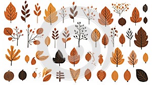 Hand drawn autumn set. Cute cliparts with pumpkin, acorn, oak leaf, maple leaf, rowan. Modern illustrations in flat minimal style