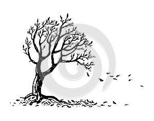 Hand drawn autumn tree silhouette with falling leaves.