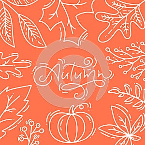 Hand drawn autumn typography poster. White monoline leaves and pumpkin with calligraphic text Autumn in flat doodle