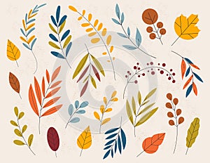 Hand drawn Autumn wild forest hand vector set. Yellow autumnal garden leaf, red fall leaf and fallen dry leaves.