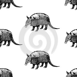 Hand drawn background with armadillo. Vector seamless pattern.