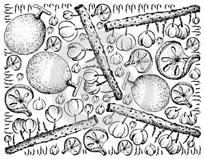 Hand Drawn Background of Bael and Otaheite Gooseberry Fruits