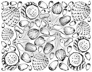 Hand Drawn Background of Buah Dabai and Copao Cactus Fruits