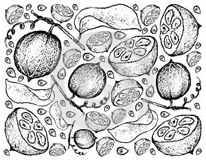 Hand Drawn Background of Fresh Monk Fruits