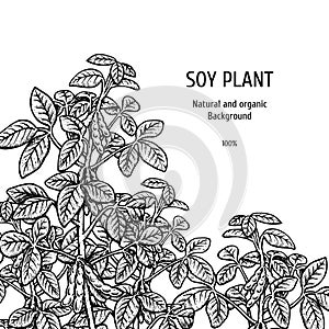 Hand drawn background with soy plant. Vector illustration