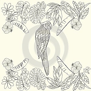 Hand drawn backgroundTropical parrot and flowers, leaves
