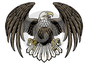 Hand drawn bald eagle