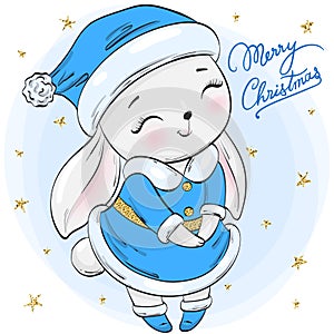 Hand drawn beautiful cute winter rabbit girl with the words Merry Christmas.