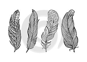 Hand drawn beautiful feather collection