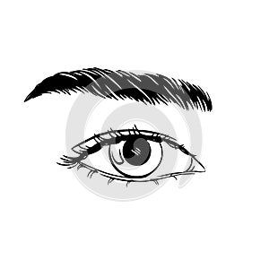 Hand-drawn beautiful female eye, sketch. Makeup, beauty salon symbol.