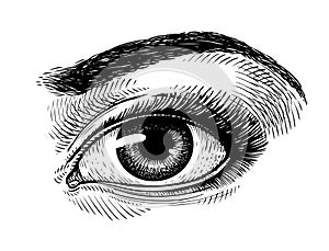 Hand-drawn beautiful female eye, sketch. Makeup, beauty salon symbol. Vintage vector illustration