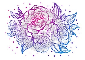 Hand-drawn beautiful roses. Tattoo art. Graphic vintage composition. Vector illustration isolated. T-shirts, print, posters