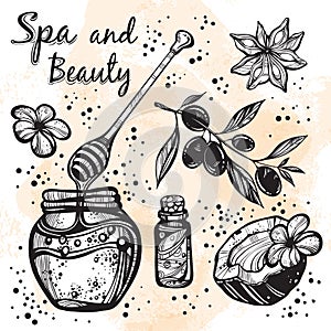 Hand-drawn beautiful spa icons in linear style. Spa vector collection. High-detailed graphic realistic elements .