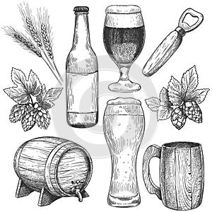 Hand drawn beer. Sketch beer glasses, mugs and barrel, bottle. Hops, malt and barley, objects for pub menu drinks