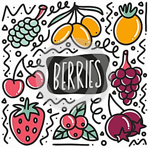 hand drawn berries fruit doodle set