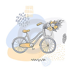 Hand drawn bicycle. Vector  illustration