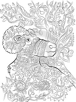 Hand drawn big horn colouring page for adults